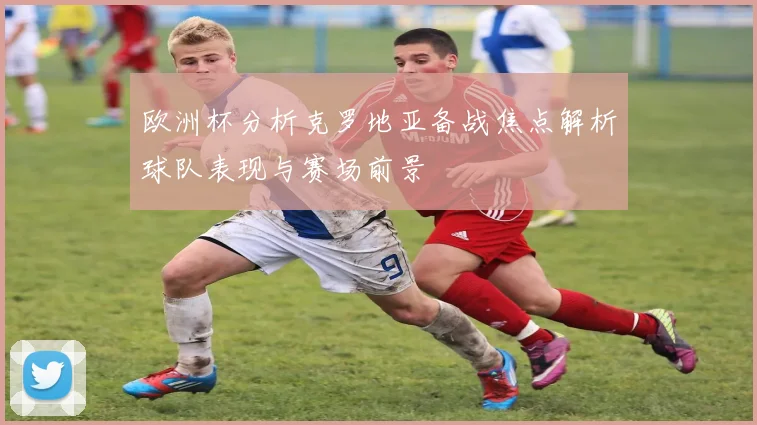 欧洲杯分析克罗地亚备战焦点解析球队表现与赛场前景