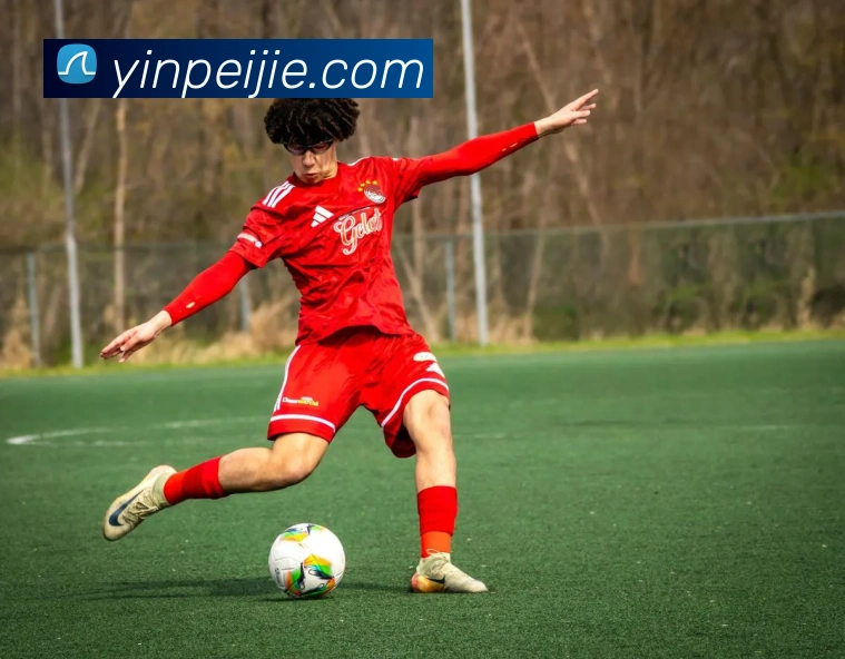 世界杯体育app官网APP 封面图